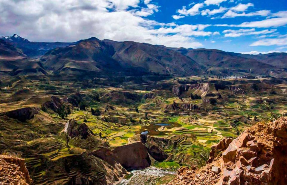 Full Day Tour of the Colca Canyon From Arequipa