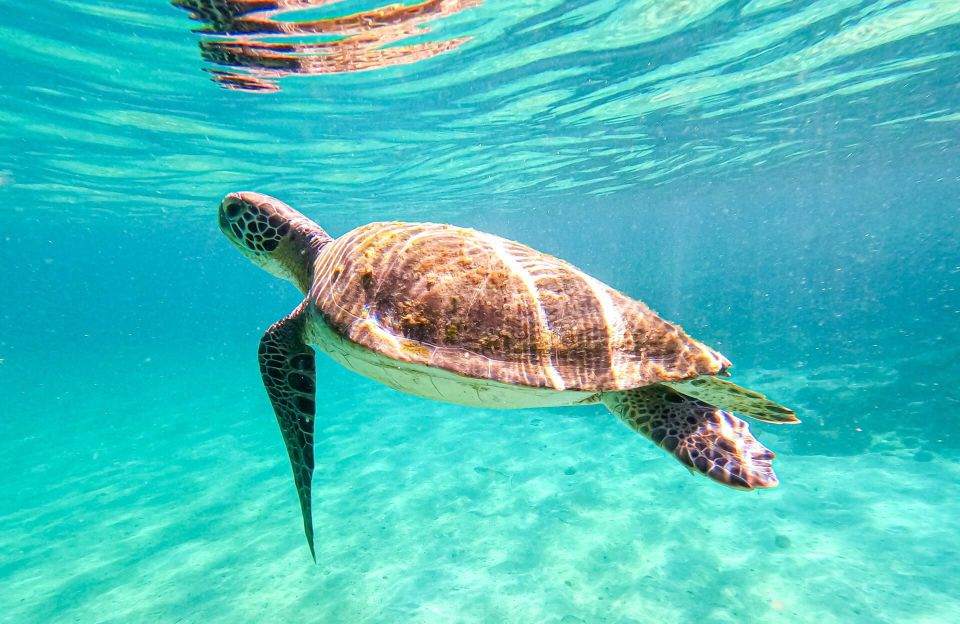 Full-Day Tour to Angra Dos Reis and Ilha Grande
