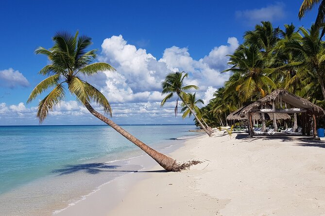 Full-Day Tour to Saona Island From Uvero Alto With Lunch - Good To Know
