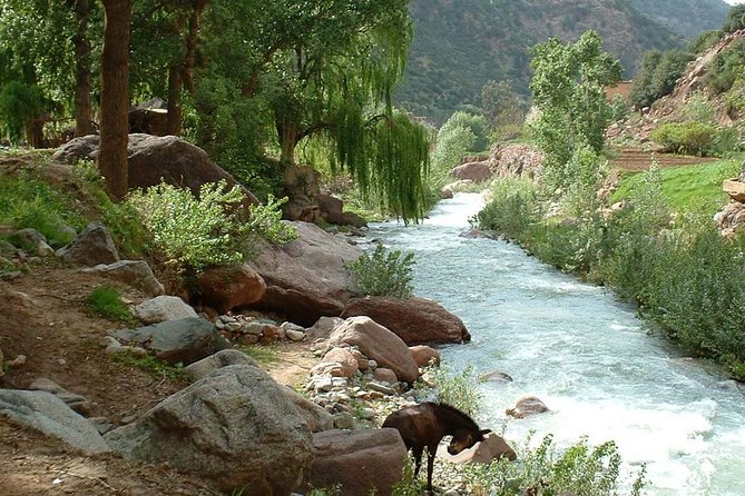 Full Day Trip To Ourika Valley From Marrakech - Time at Traditional Berber Settlement