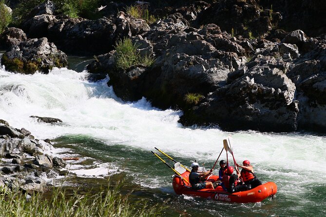 2 Best Full-Day Tours In California