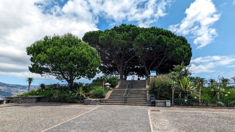 Funchal Enchanting Gardens in 3h: City Tour Garden Visit