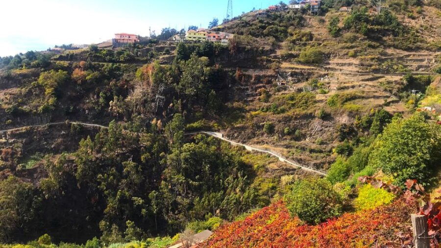 Funchal: Northern Levada Walking Tour