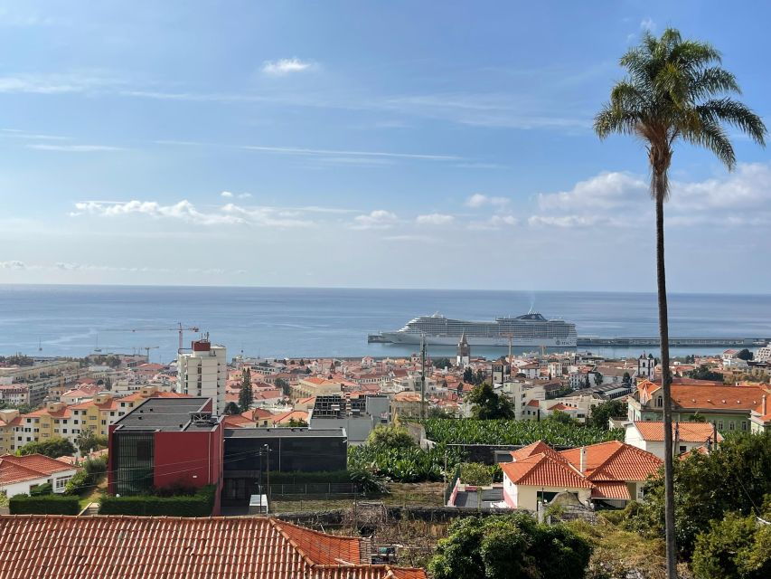 Funchal Seaside: 2-hours Guided Tuk Tuk Tour