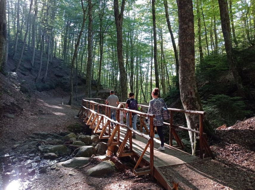 Gambarie: Private Guided Forest Trekking Tour