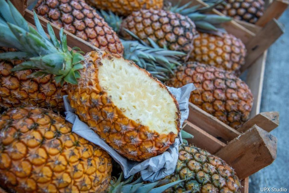 Gastronomic Tour at the Municipal Market of Rio De Janeiro - Tour Overview