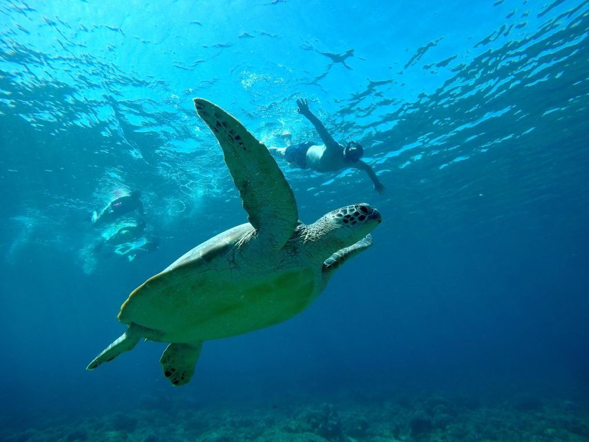 Gili Cheap Snorkeling Tour