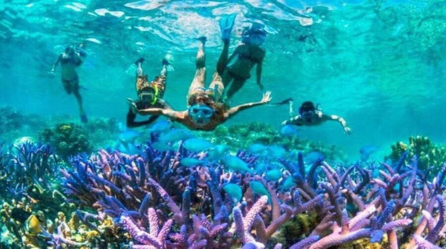 Gili Islands: Underwater Statues Cruise and Snorkeling - Good To Know