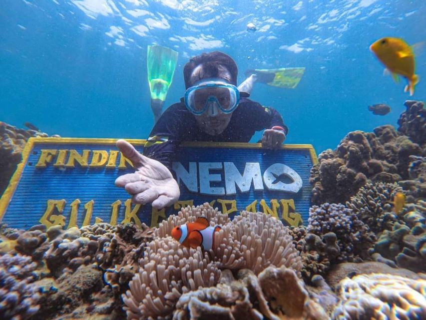 Gili Ketapang: Snorkeling & Local Island Wandering - Good To Know