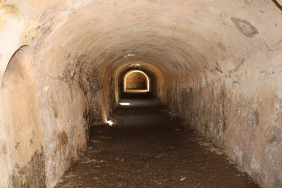 Gnatia Ruins and Archaeological Museum Private Guided Tour - Experience Highlights