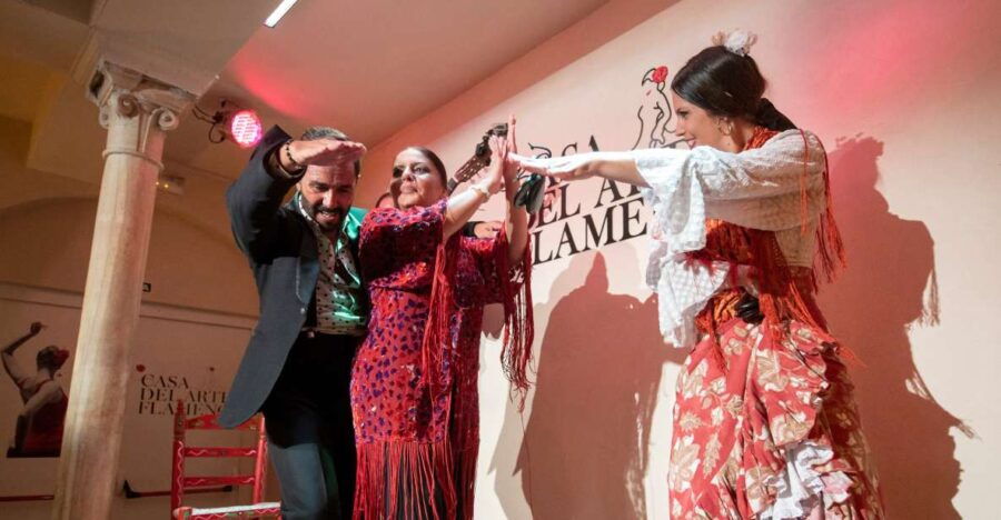 Granada: 1-Hour Traditional Flamenco Show - Good To Know