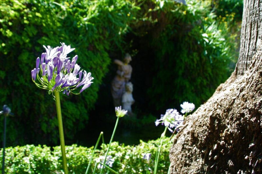 Granada: Gardens of Carmenes Guided Tour