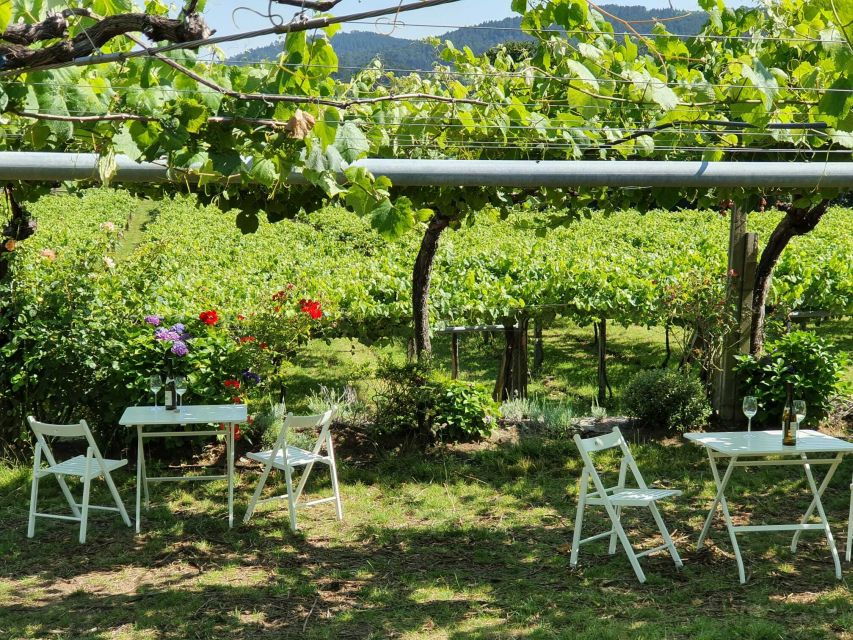 Granbazán Winery: Guided Tour and Wine Tasting - Good To Know