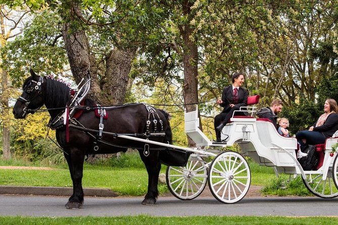 Grand Horse-Drawn Carriage Tour of Victoria - Inclusions and Amenities