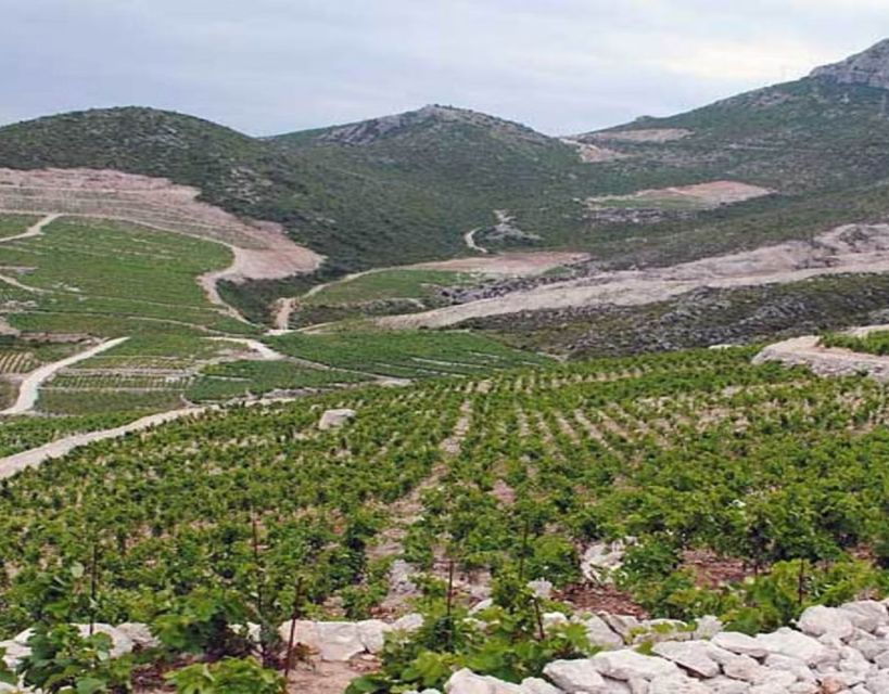 Group Tour From Dubrovnik: Ston and Peljesac Wineries Tour - Good To Know