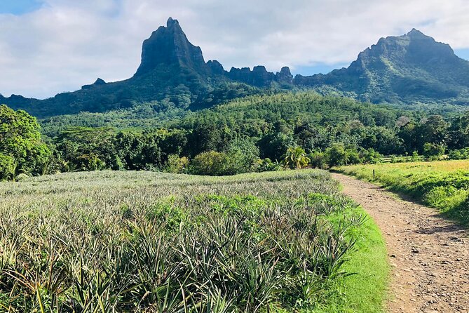 Guided Excursion in 4x4 in Moorea Between Land and Sea - Experience the Thrill of Off-Roading