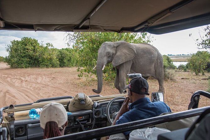 Guided Full Day Chobe National Park Tour From Livingstone - Good To Know
