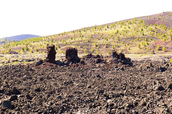 Guided Full-Day Tour to Craters of the Moon National Monument & Preserve - Important Information