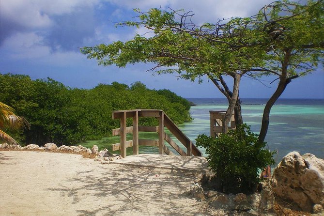 Guided Mangel Halto and Baby Beach Snorkeling Tour From Aruba - Tour Overview and Inclusions