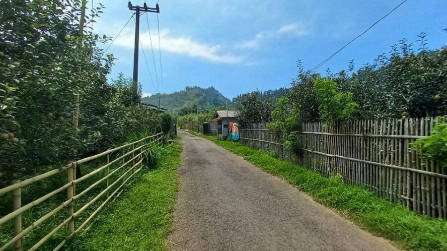 Guided Motor Trail Bromo Adventure Tour From Malang - Good To Know