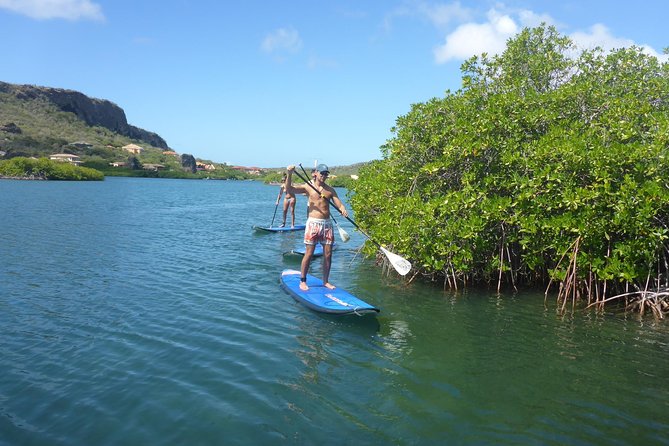 Guided Paddleboarding (Sup) Mangrove ECO Tour for Beginners - Pricing and Guarantee