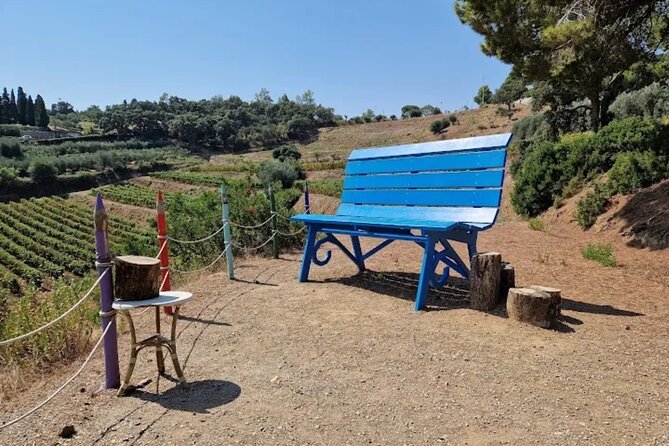 Guided Scooter Tour for Small Groups With Wine Tastings