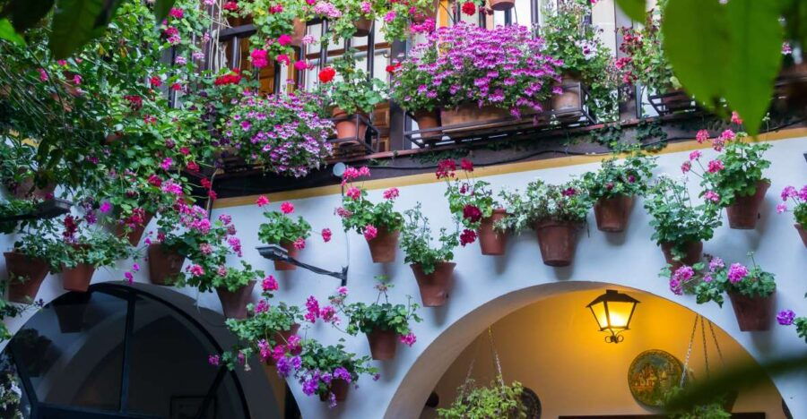 Guided Tour in Spanish to the Courtyards of Córdoba