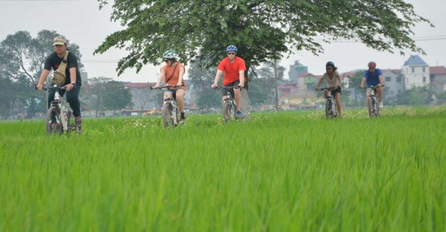 Ha Noi Countryside: Guided Morning or Afternoon Bicycle Tour - Good To Know