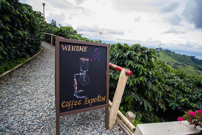 Hacienda San Alberto: Salento’s Coffee Adventure Hub