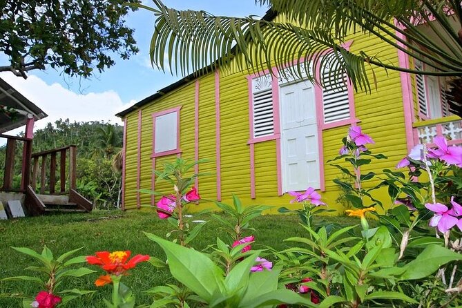 Half-Day Cultural Experience in Punta Cana - Cultural Immersion Activities Offered