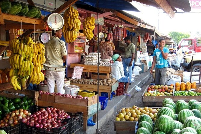 Half-Day Cultural Safari Tour From Cap Cana - Good To Know