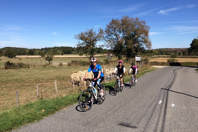 Half-Day Cycling Tours Around Siena - Good To Know