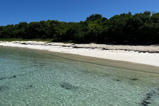 Half Day Discover Green Island and Natural Sea Pools