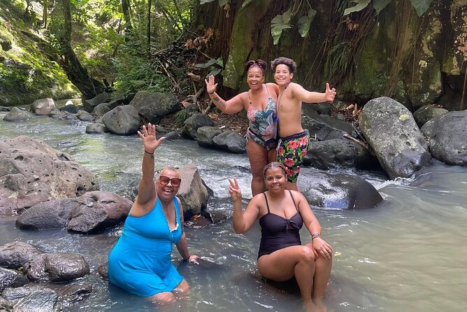 Half-Day Hawaiian Leis Chocolate Waterfalls Beach Tour - Tour Itinerary