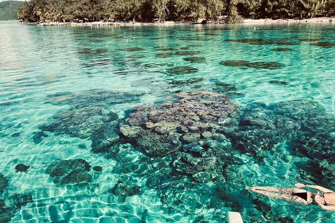 Half Day Lagoon Safari Tour in Bora Bora- Shared Tour - Reviews and Ratings