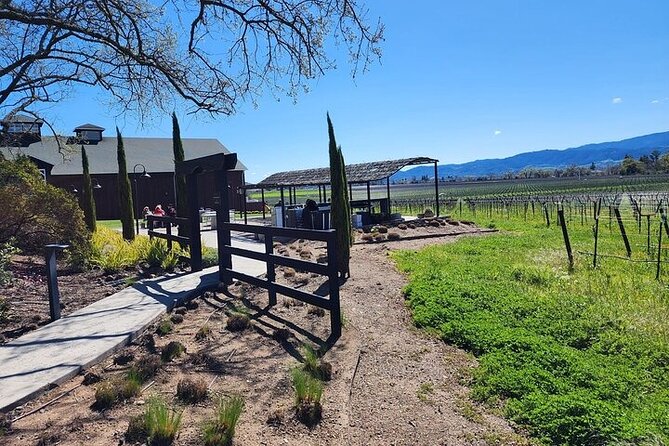 Half Day Private Champagne Wine Tour to Sonoma and Napa