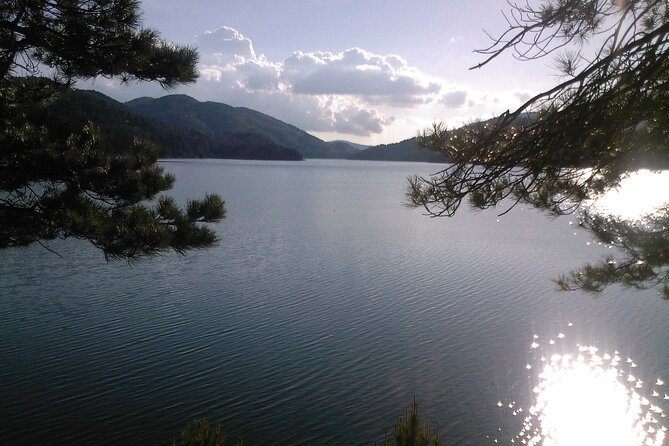 Half Day Private Tour of the Sila National Park