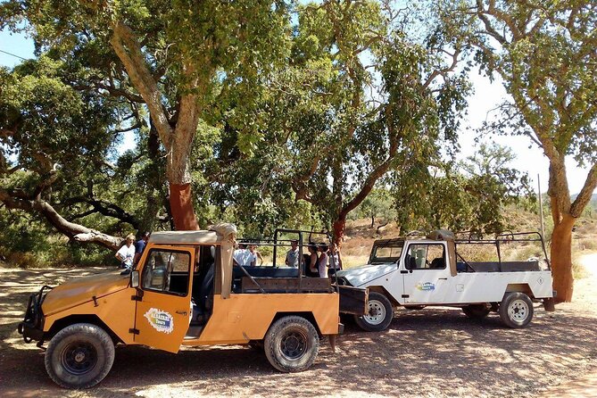 Half Day Safari Tour With Wine Tasting - Overview and Inclusions