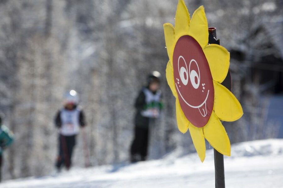 Half-Day Skiing With Instructor in Vogel Ski Center
