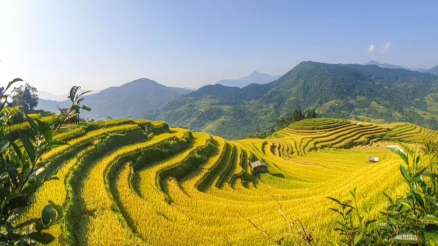 Hanoi: 2-Day Ta Van & Sapa Trek With Local Guide & Homestay - Good To Know