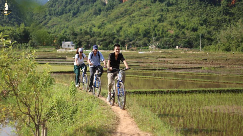 Hanoi: Cycling Tour of Hoa Lu, Trang an With Meals and Guide - Good To Know