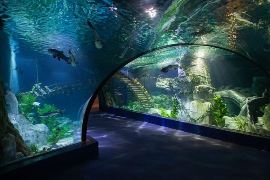 Hanoi: Lotte World Aquarium E-Ticket - Experience Highlights