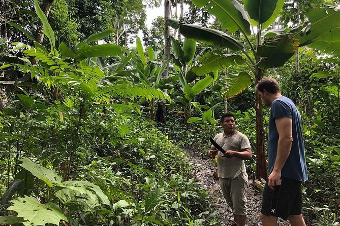 Healing, Treatment With Medicinal Plants 7 Days "Green Wild Amazon Expedition" - Inclusion of Healing and Treatment With Medicinal Plants