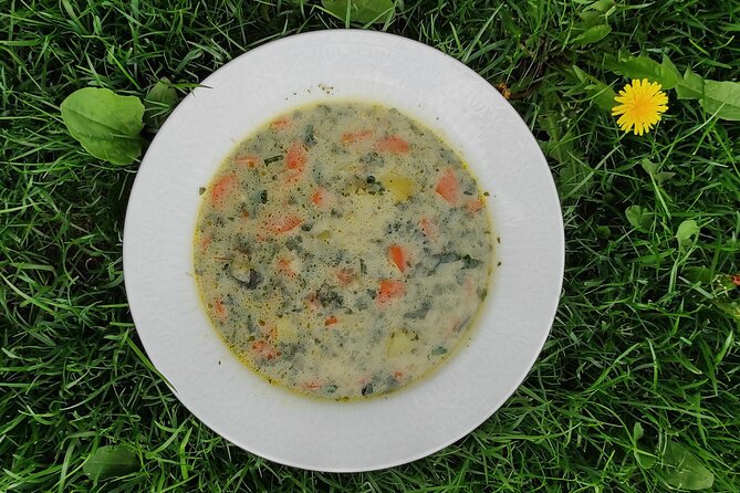 Herbal and Wild Food Walking Tour in Warsaw Area