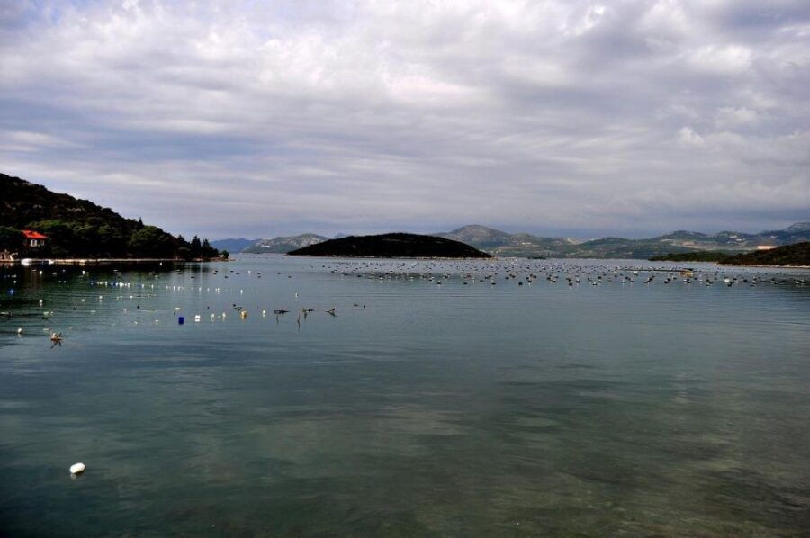 Hidden Gem: Orebić Explored With Private Dubrovnik Transfer - Good To Know