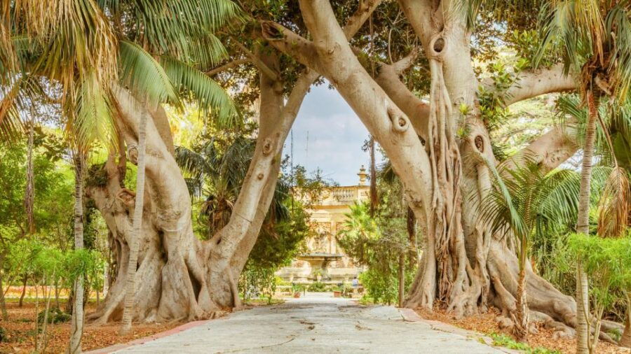 Highlights of Malta Tour:Icons and Experiences of the Island