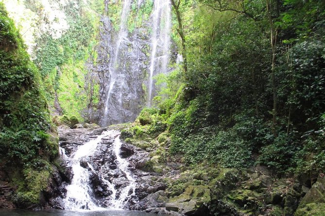 Hike to a Hidden Puerto Rican Waterfall Adventure - Overview and Logistics