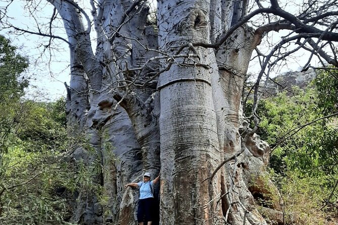Hike to Cidade Velha - Good To Know