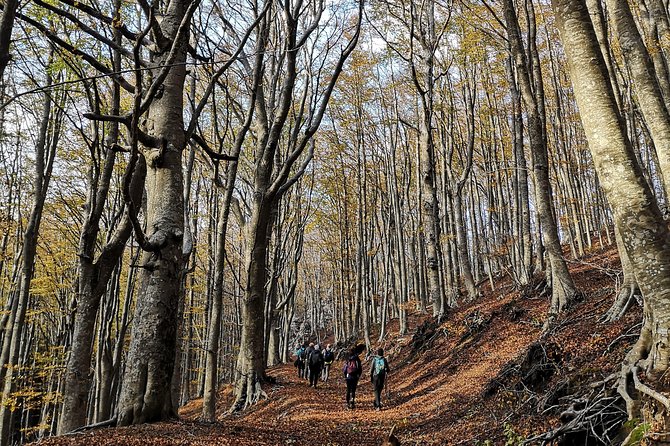 Hiking on Faito Mountain From Sorrento - Overview of Faito Mountain Hiking Tour