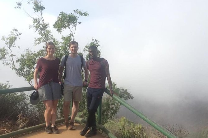 Hiking Serra Malagueta Natural Park - Wildlife and Flora